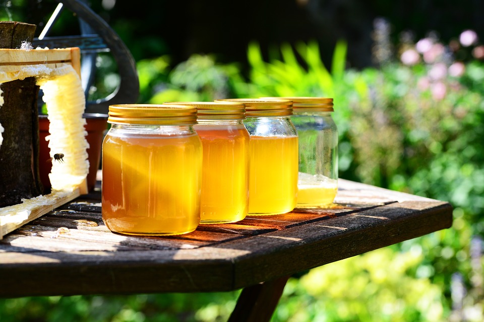 Полезные свойства гречишного мёда