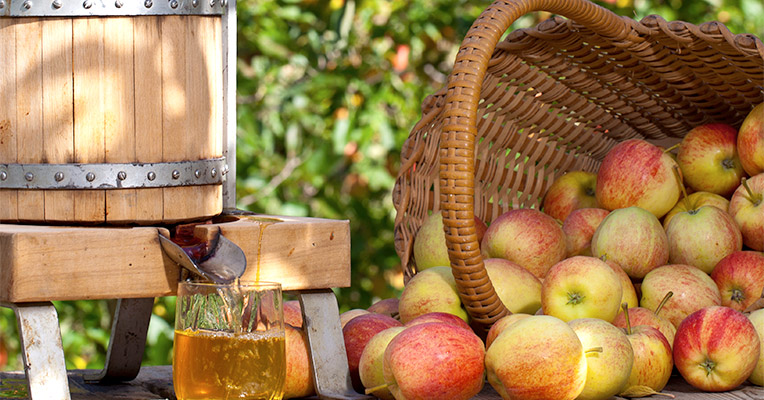 Свежий яблочный сок из деревянной бочки
