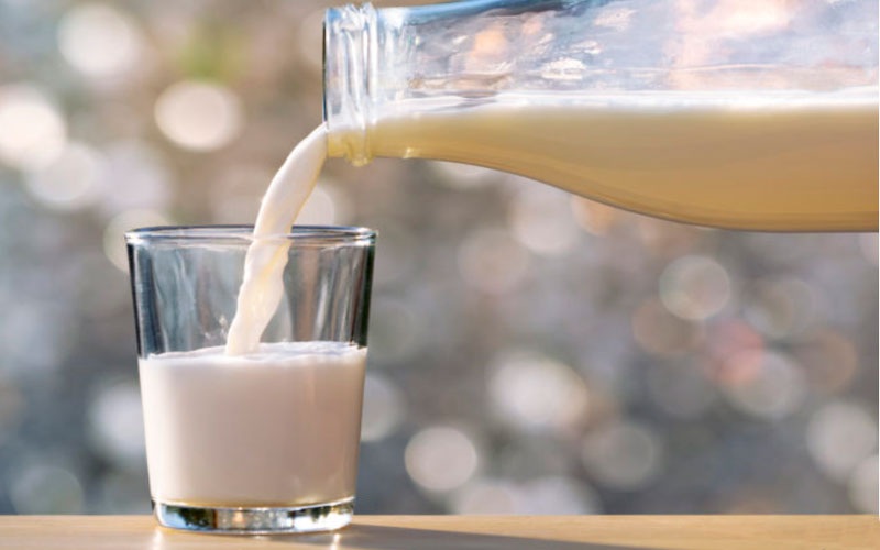 Чем отличается молоко без лактозы от обычного