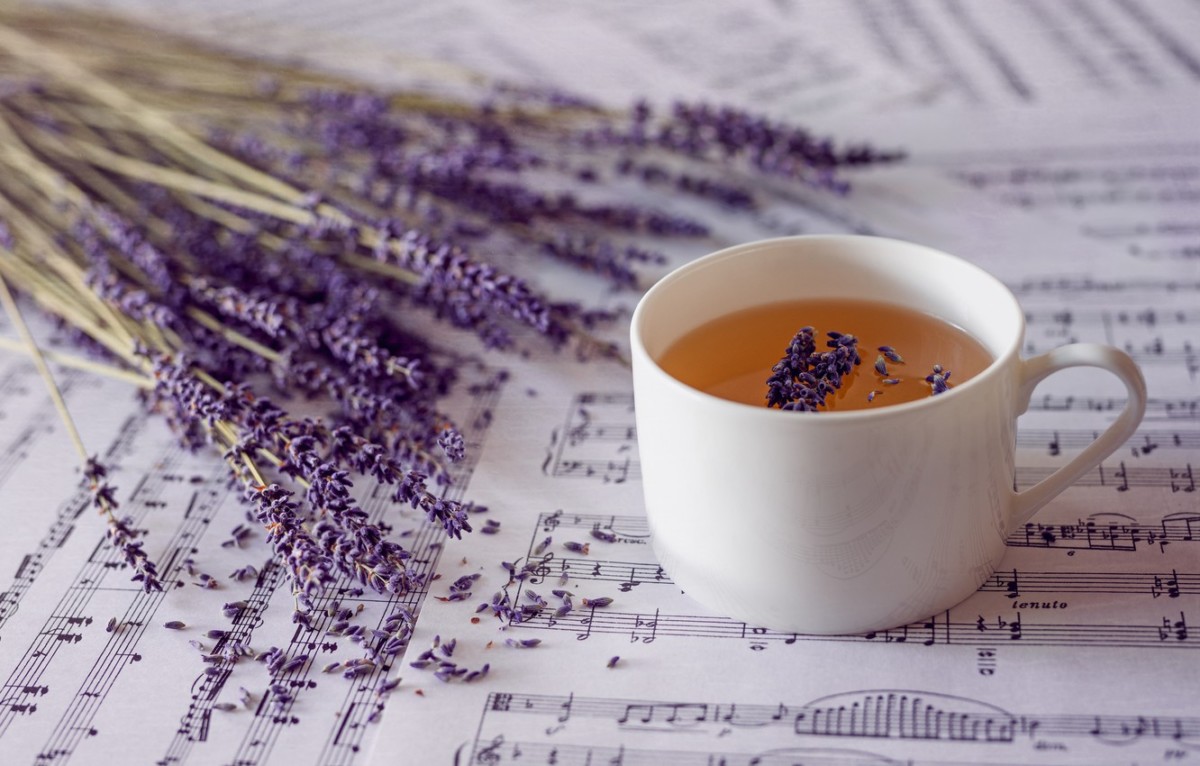Чай с лавандой с незапамятных времен использовался народной медициной в качестве лечебного средства