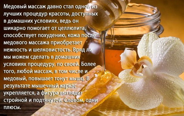 Рапсовый мед. Полезные свойства, лечебные, как употреблять, противопоказания