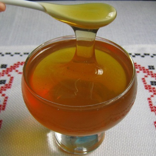 Редкий и полезный мед из кориандра (кинзы)