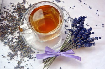 лаванда чай полезные свойства