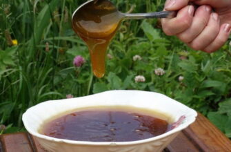 мед дягилевый полезные свойства цена