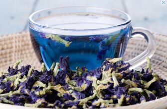 синий чай анчан полезные свойства