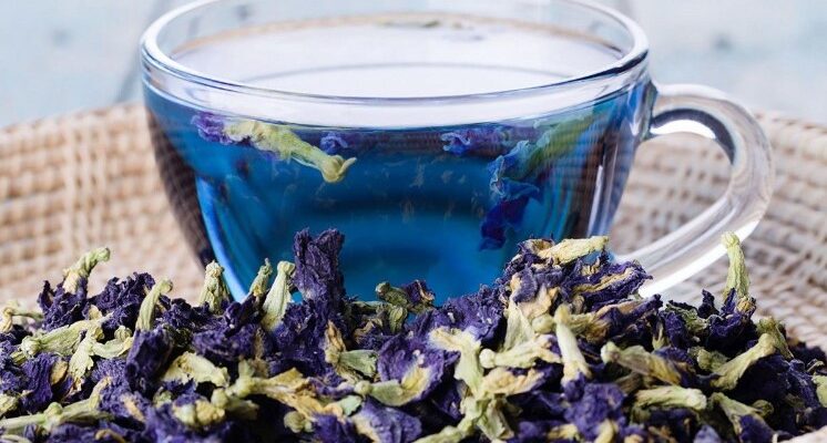 синий чай анчан полезные свойства