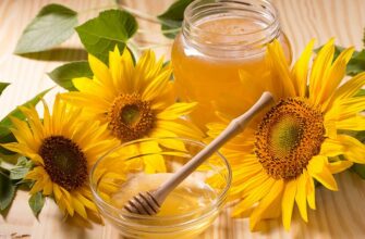 мед подсолнечника полезные свойства цена