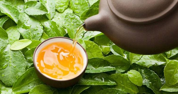 зеленый чай польза и вред для организма
