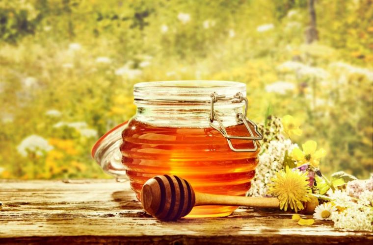 луговой мед полезные свойства
