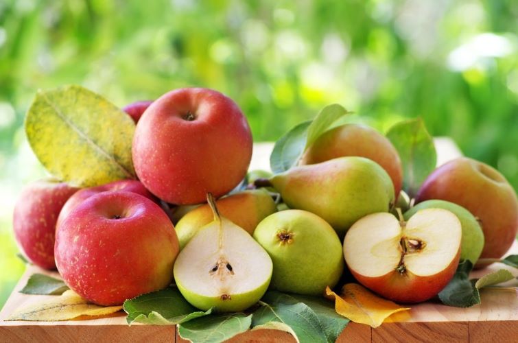 польза груш и яблок